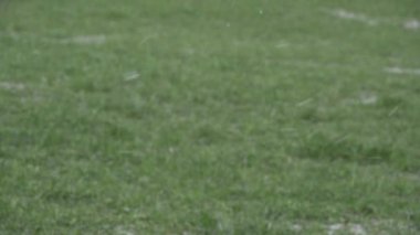 Kar yağışı karlı Lawn