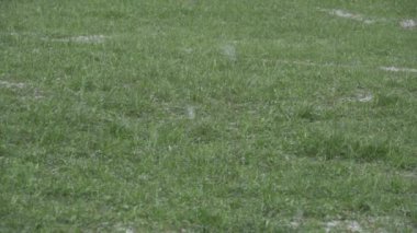 Kar yağışı karlı Lawn