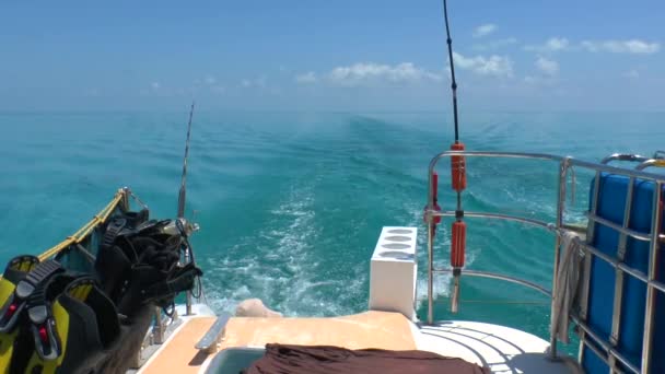 Canne da pesca in mare e catamarano — Video Stock