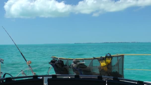 Sea Fishing Rods and Catamaran — Stock Video