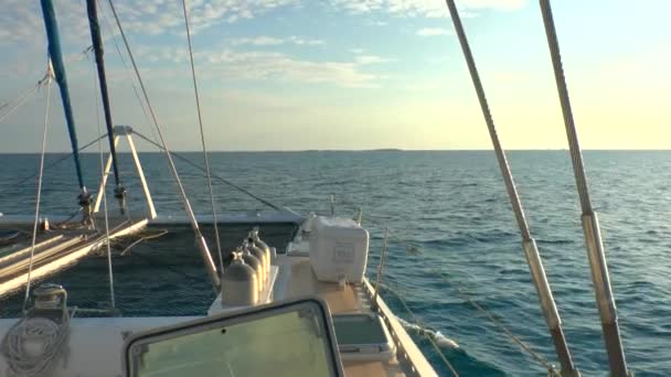 Catamaran and Caribbean Sea — Stock Video