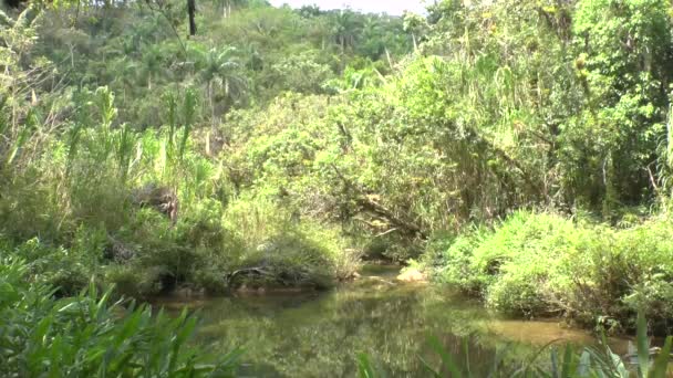 Petit ruisseau à Topes de Collantes 