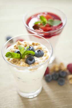 Pannacotta yabani çilek ile