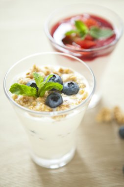 Pannacotta yabani çilek ve yoğurt ile