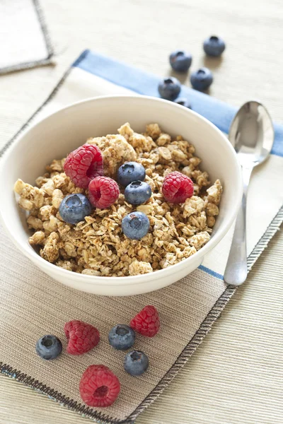 Healthy Breakfast with muesli cereal and wild fresh berries