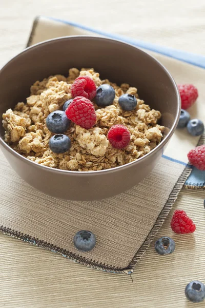 Petit déjeuner sain avec céréales muesli et baies fraîches sauvages — Photo