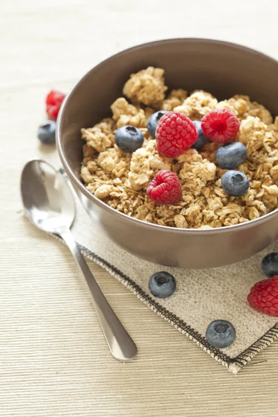 Healthy Breakfast with muesli cereal and wild fresh berries — Stock Photo, Image