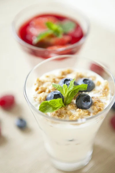 Pannacotta with wild berries and yogurt — Stock Photo, Image