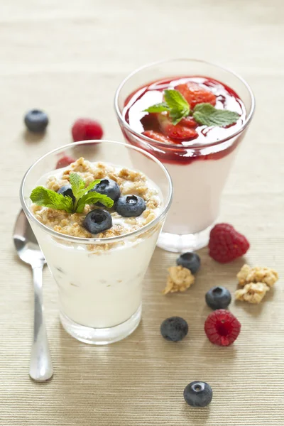 Pannacotta with wild berries and yogurt with blueberries, health — Stock Photo, Image