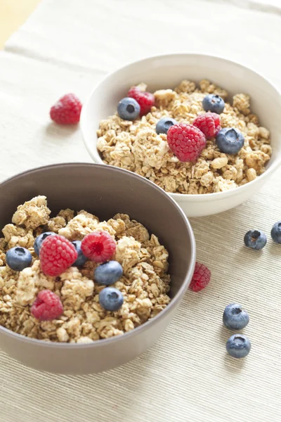 Healthy Breakfast with muesli cereal and wild fresh berries — Stock Photo, Image