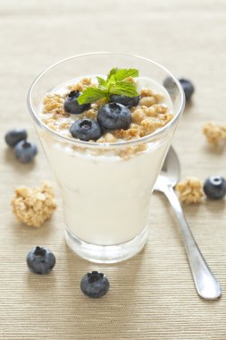 lezzetli Sağlıklı Kahvaltı, tahıl ve yaban mersini ile yoğurt