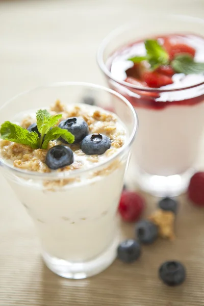 Pannacotta with wild berries and yogurt — Stock Photo, Image