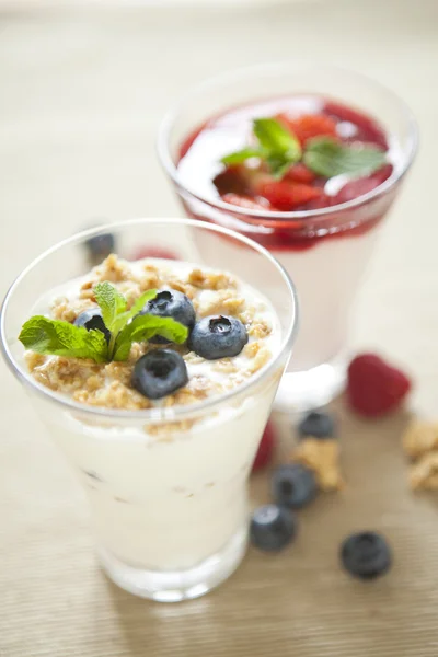 Pannacotta with wild berries and yogurt — Stock Photo, Image