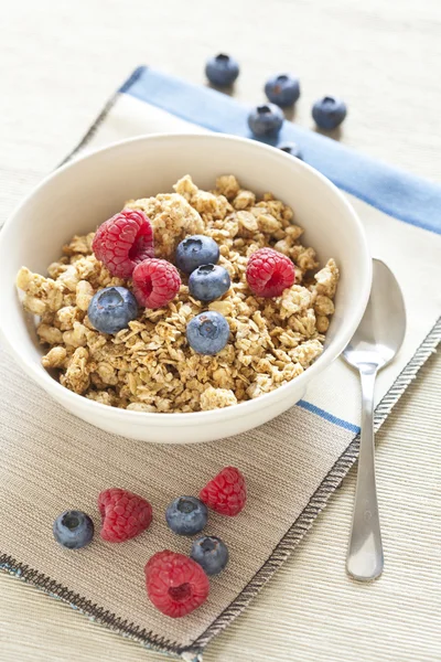 Petit déjeuner sain avec céréales muesli et baies fraîches sauvages — Photo