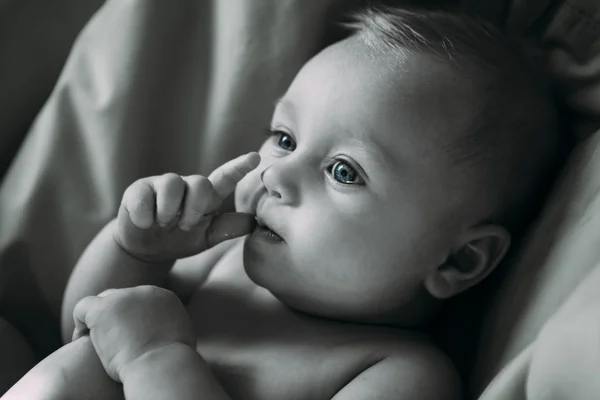 Male newborn baby Stock Image