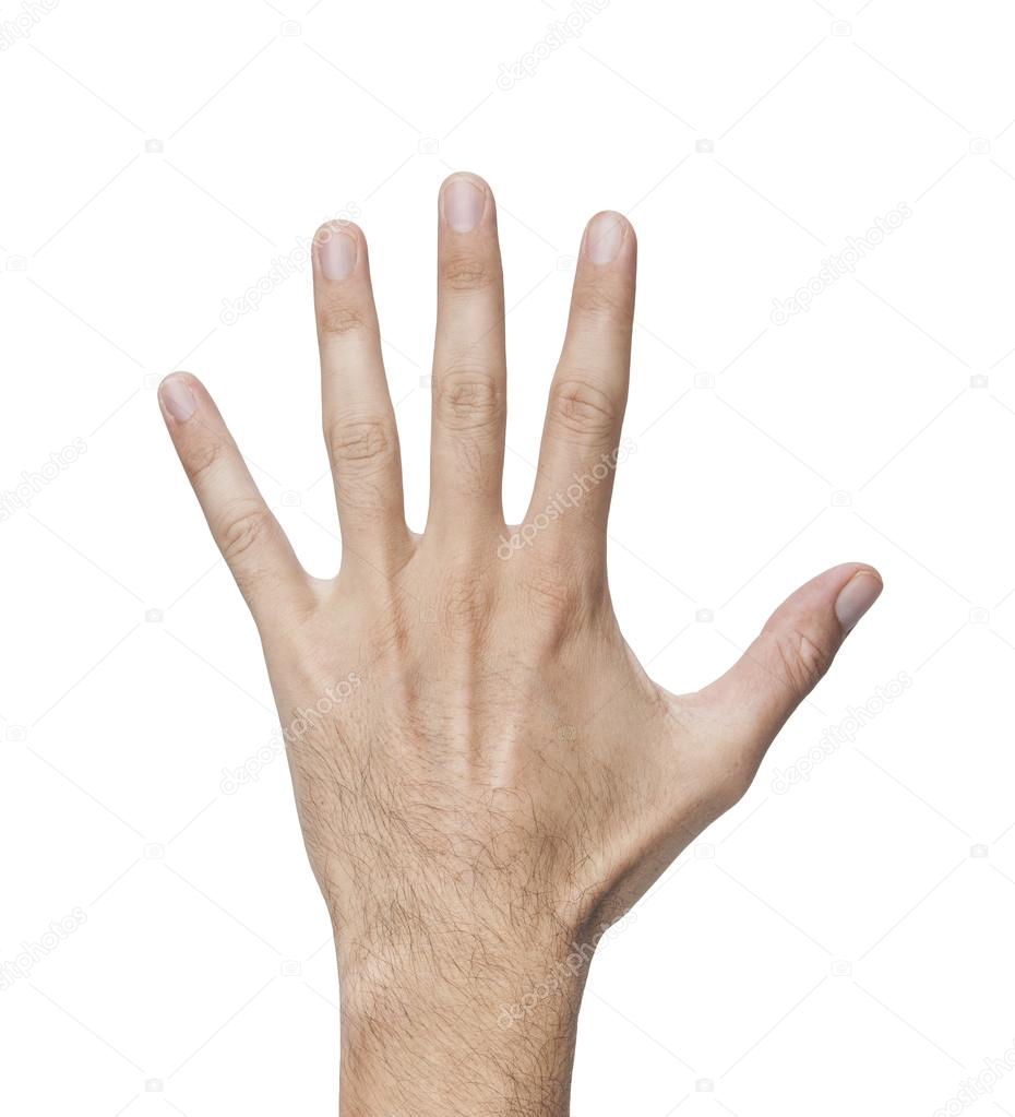 male human hand