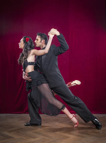 Dançarinos de tango elegantes — Fotografia de Stock