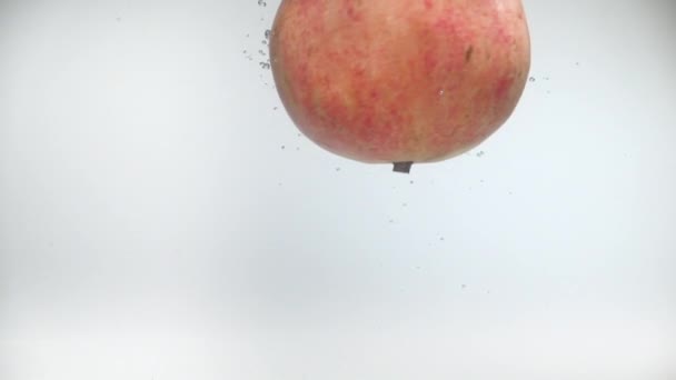 Jedno Granátové Jablko Padá Vody Zpomalenými Šplouchnutími Bublinami Ovoce Izolovaném — Stock video