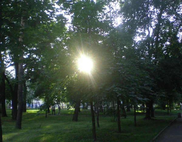 Jardín Verano Ciudad Está Los Rayos Del Sol Que Viene — Foto de Stock