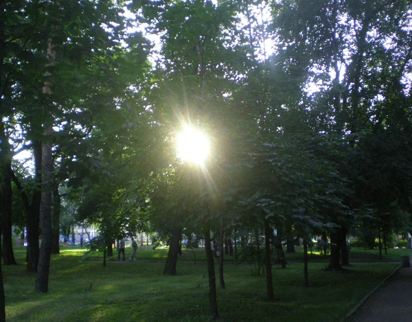 Zomertuin Stad Balken Van Komende Zon — Stockfoto