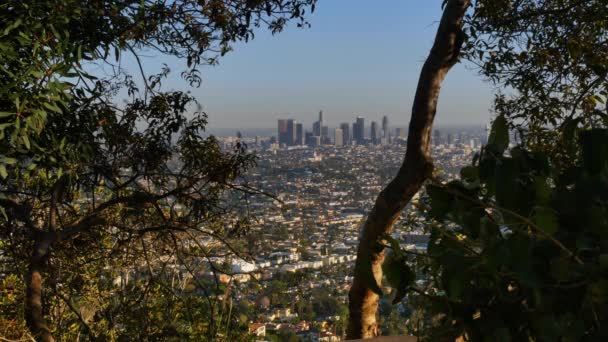 Skyline de Los Ángeles con excursionista en primer plano — Vídeo de stock