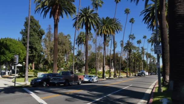 Beverly Hills Intersection — Stok video