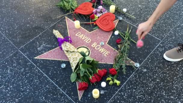 David Bowie Hollywood Yıldız Anıtı — Stok video