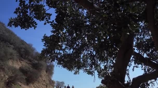 Hikers in Runyon Canyon State Park — Stock Video
