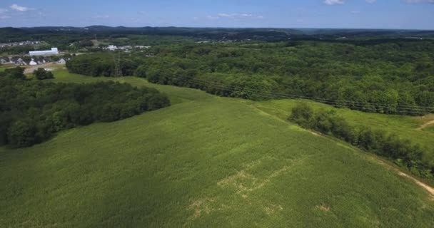 Alto ângulo aéreo sobre campos de milho em uma fazenda da Pensilvânia — Vídeo de Stock