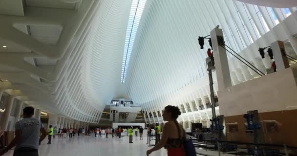 Ustanawiającego strzał wewnętrzną strukturę Oculus na World Trade Center — Wideo stockowe