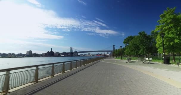 Rider's Perspective Biking on East River Bikeway Near Williamsburg Bridge — Stock Video