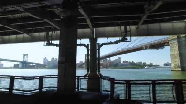 Profilo Visualizza Equitazione sulla East River Bikeway con ponte di Brooklyn a distanza — Video Stock