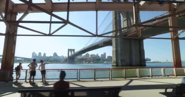 Perfil View Equitação em East River Bikeway com Brooklyn Bridge em Distância — Vídeo de Stock