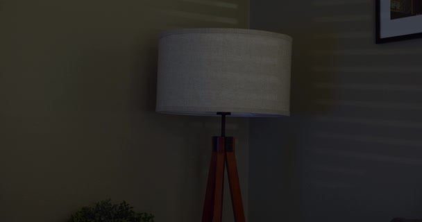 Lampa dla gospodarstw domowych włącza się i wyłącza — Wideo stockowe