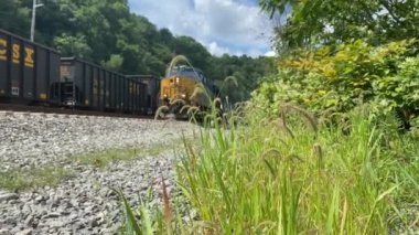 Kargo Treni Geçişleri