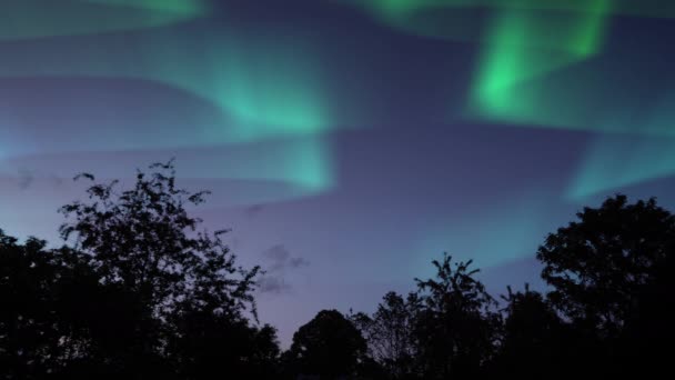 Aurora boréale dans le ciel nocturne — Video