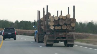 Açık otoyolda bir tomruk kamyonunun dikiz görüntüsü..  