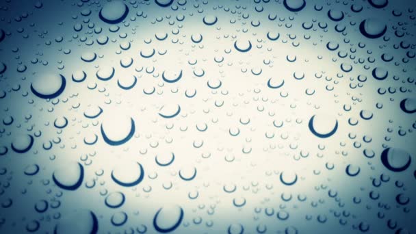 Water Droplet Background — Stock Video