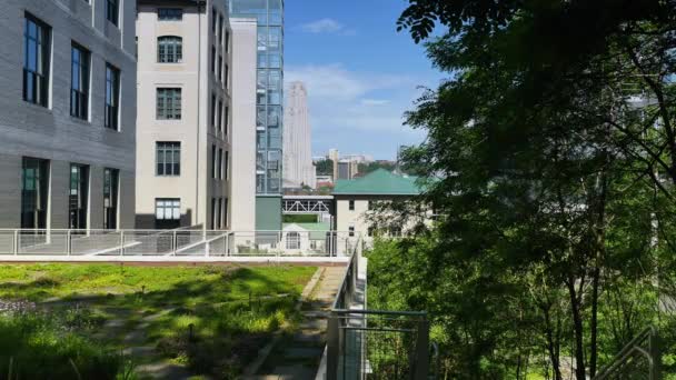 PITTSBURGH, PA - Circa May, 2015 - An establishing shot of the Cathedral of Learning as seen from the Carnegie Mellon University campus. — Stock Video