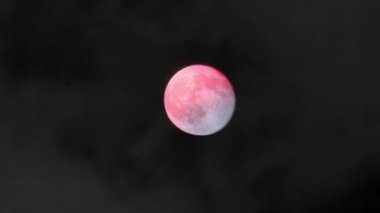 Gece Gökyüzünde 4k Gerçek Dolunay Kanlı Ay