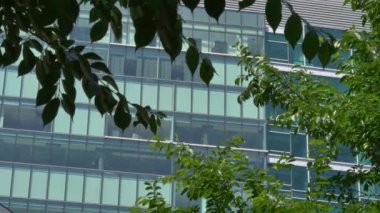 4 k Modern ofis binası atış kurulması