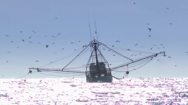 Коммерческая рыболовная лодка — стоковое видео