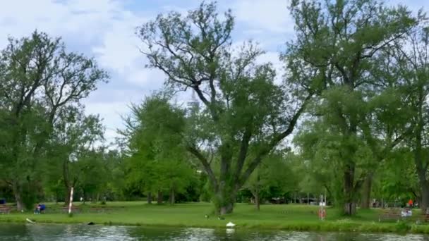 4K Toronto Island Park with CN Tower in Background — Stock Video