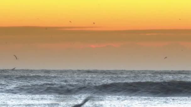 Ocean morgon och vågor — Stockvideo