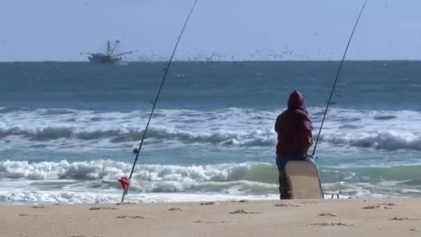 A fisherman sets up on the beach — Stock Video