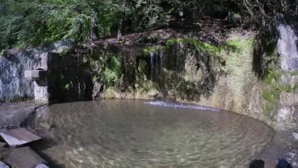 4k natürlicher Quellwasserteich 4365 — Stockvideo