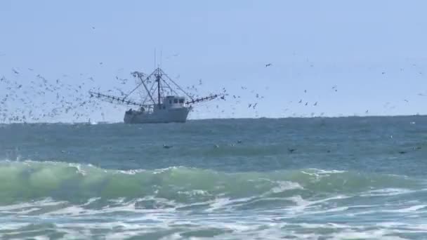 Barco de pesca comercial — Vídeos de Stock
