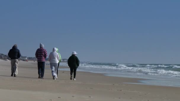 Menschen laufen am Strand entlang — Stockvideo