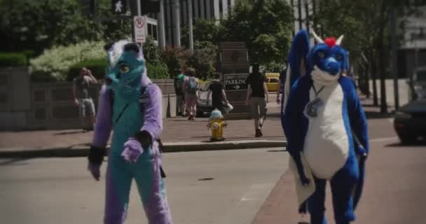 Anthrocon 彩色调调么准备 — 图库视频影像