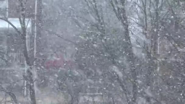 neige dans un quartier ouest de la Pennsylvanie 